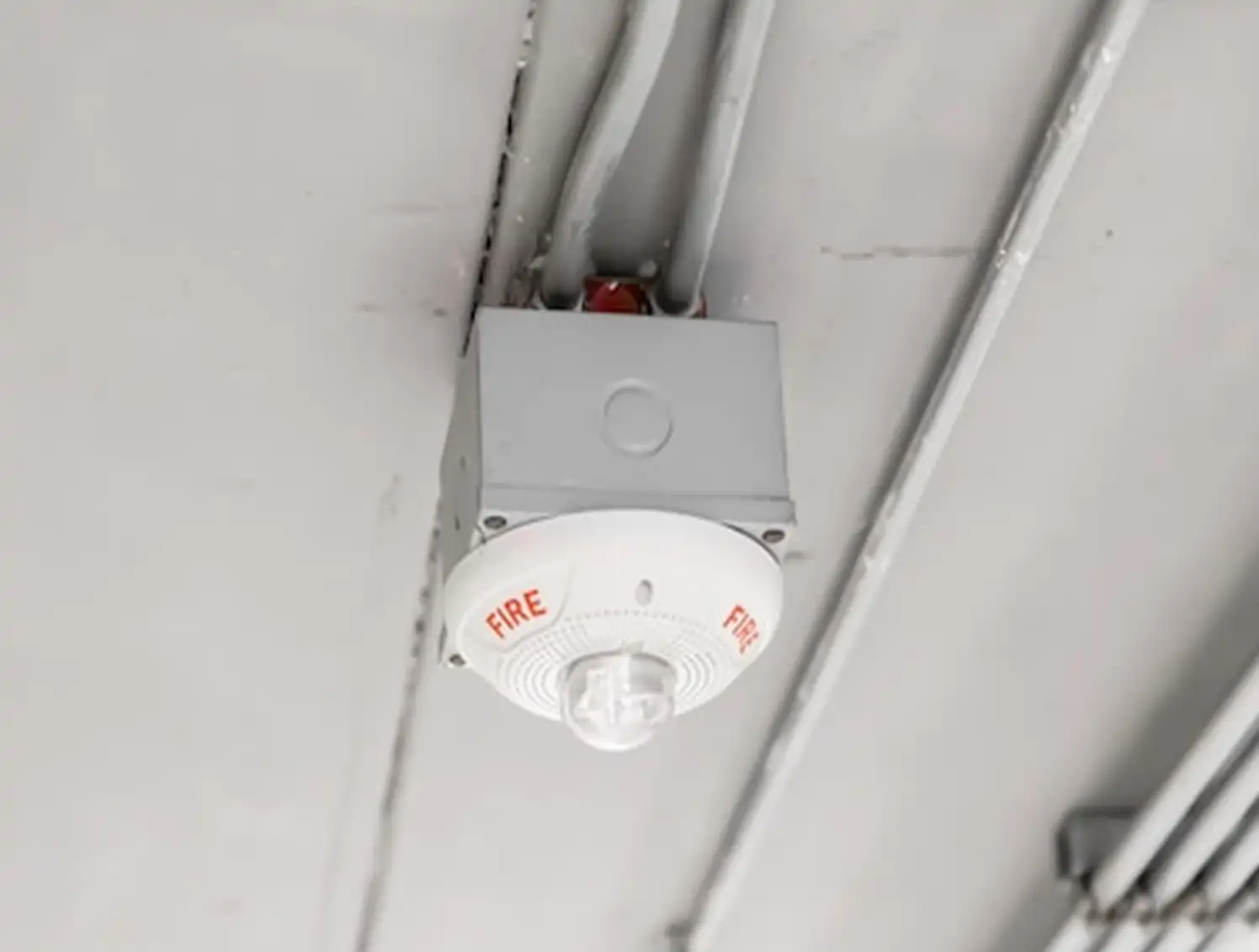 Alarma en techo sonora y luz roja